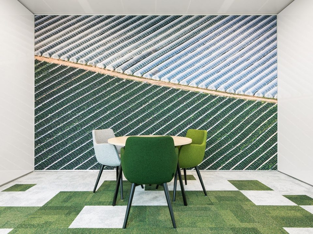 辦公室裝修設計,綠色辦公理念,廣州裝修設計公司,海博裝飾.jpg 辦公室裝修設計,綠色辦公理念,廣州裝修設計公司,海博裝飾.jpg