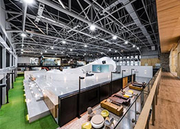 寫字樓裝修設計適合擺放哪些植物？